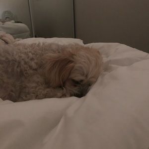 Meet your Posher, Natasha